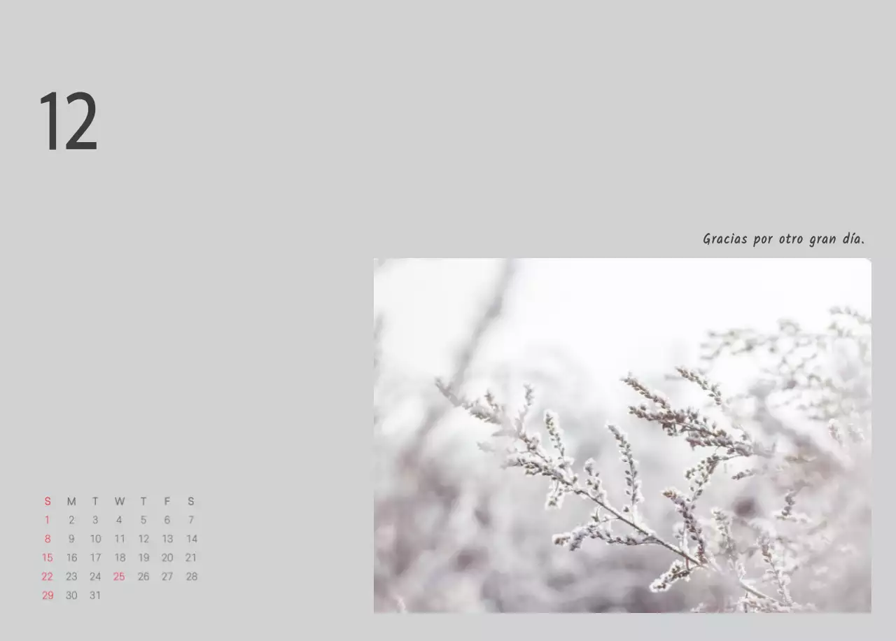 Blanco naturaleza botánica limpia