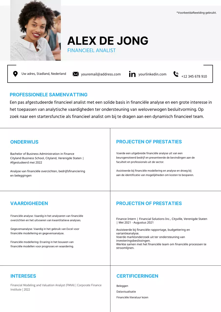 Grijs en Blauw Plain Financieel Analist CV