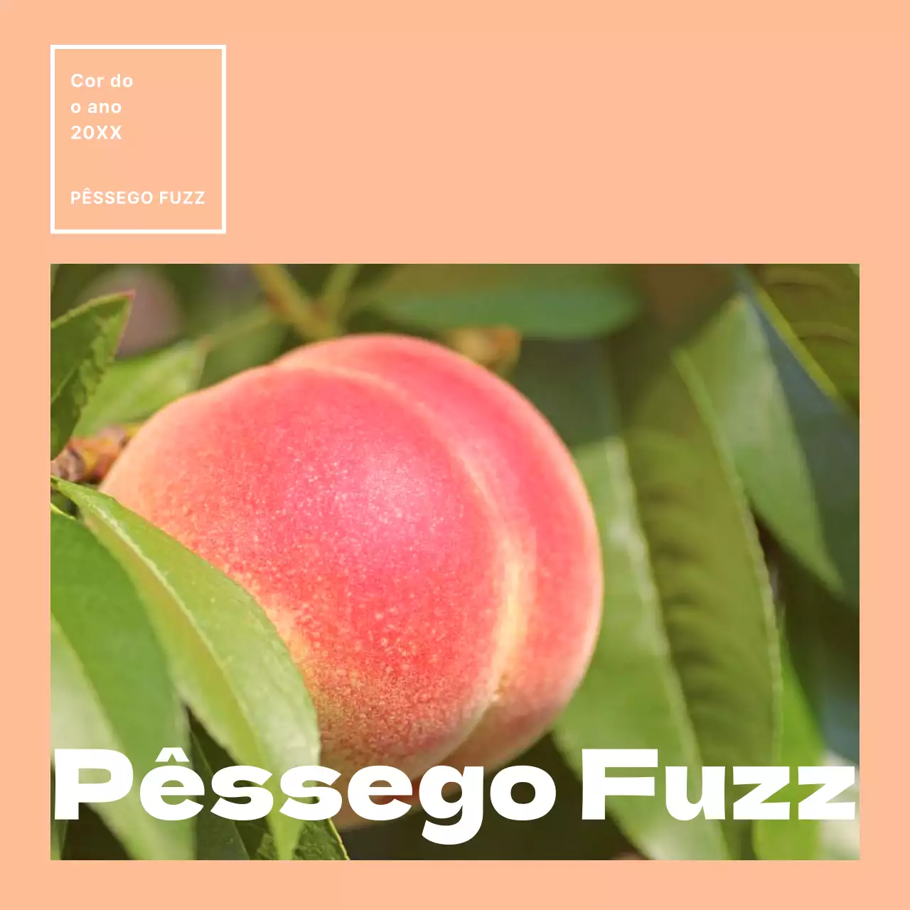 Promover a cor do ano com um simples laranja e cor-de-rosa