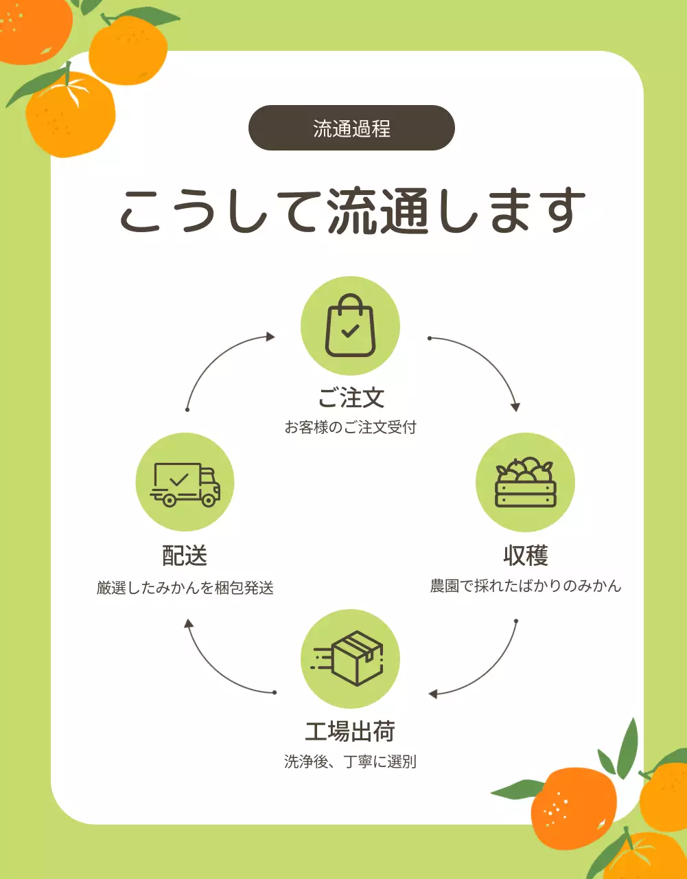 オレンジ かわいい みかん パンフレット 詳細ページ