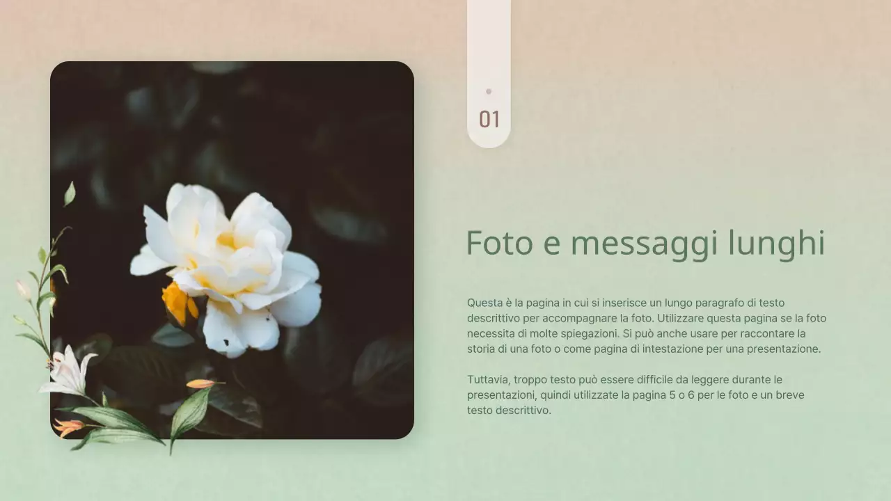 Semplice presentazione di fiori invernali in rosa e giallo