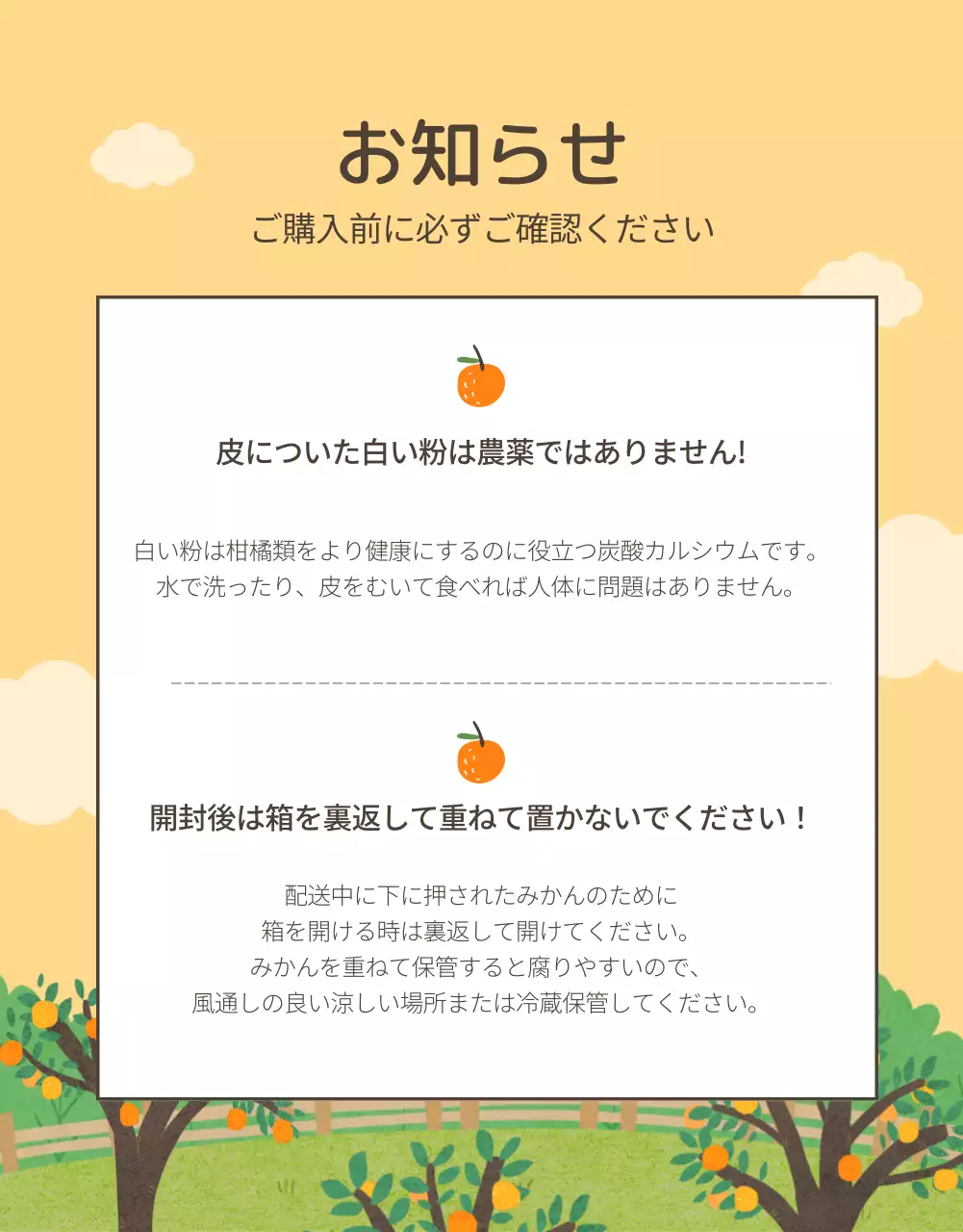 オレンジ かわいい みかん パンフレット 詳細ページ