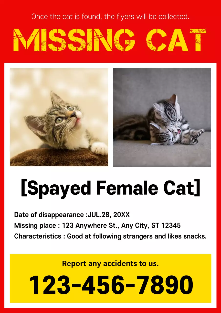 Red Bold Missing Cat Notice