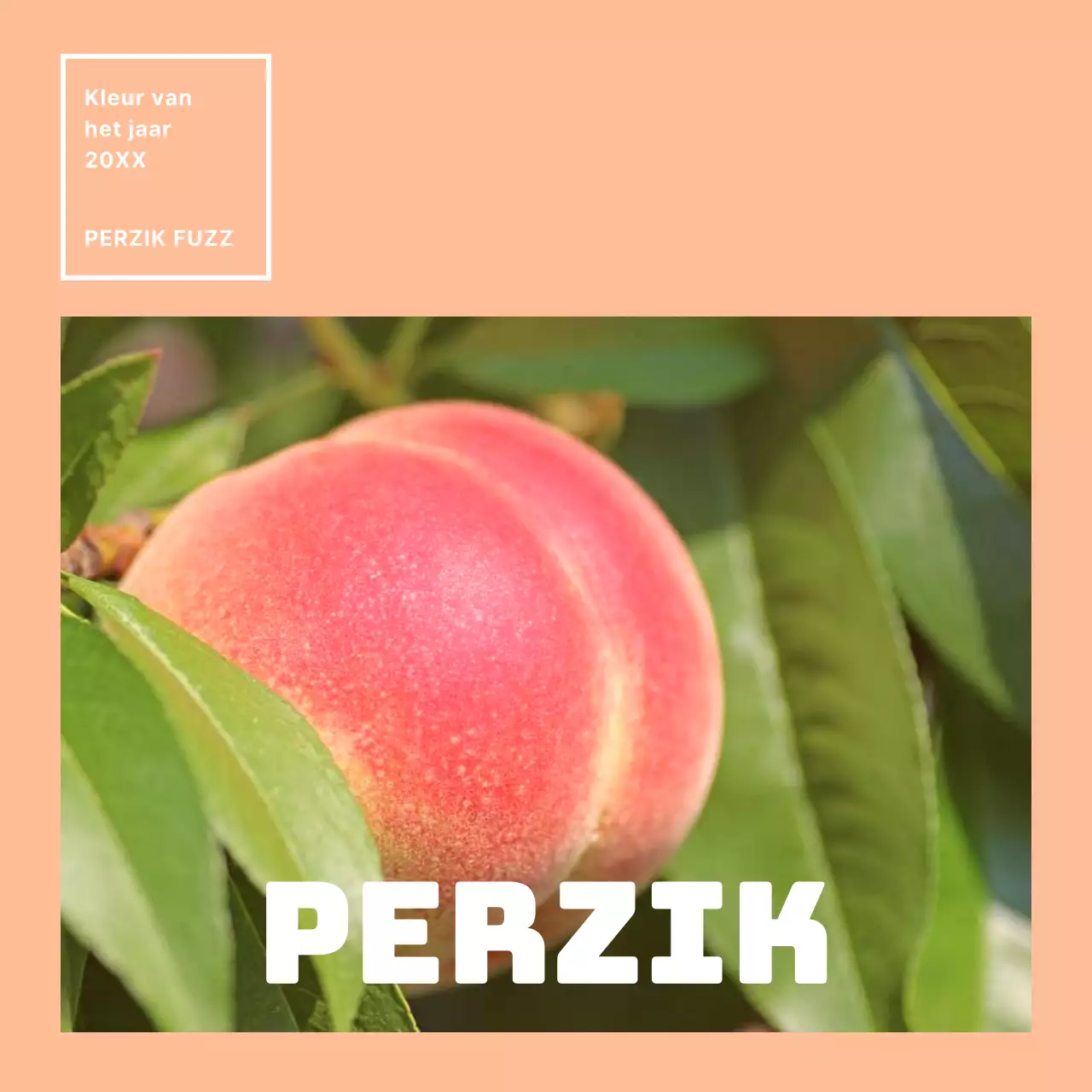 Promoot de kleur van het jaar met eenvoudig oranje en roze