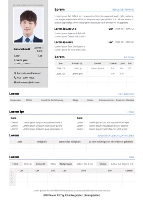 Ausführlicher Lebenslauf in Grau und Blau