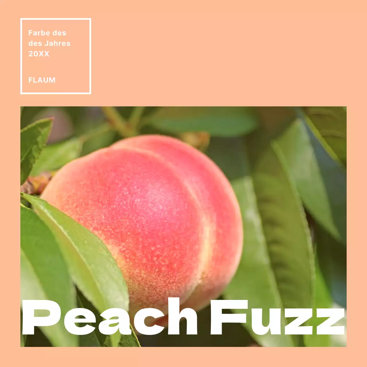 Förderung der Farbe des Jahres mit einfachem Orange und Rosa