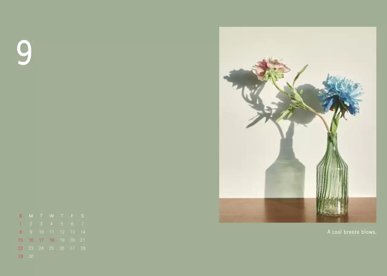 White Clean Botanical Nature