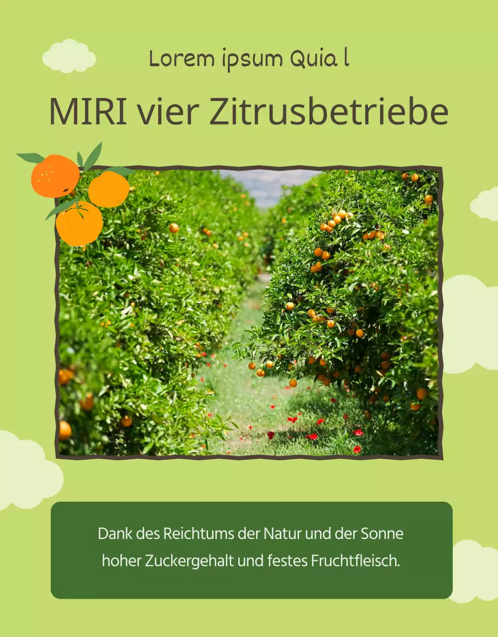 Förderung von Orangen und Zitrusfrüchten