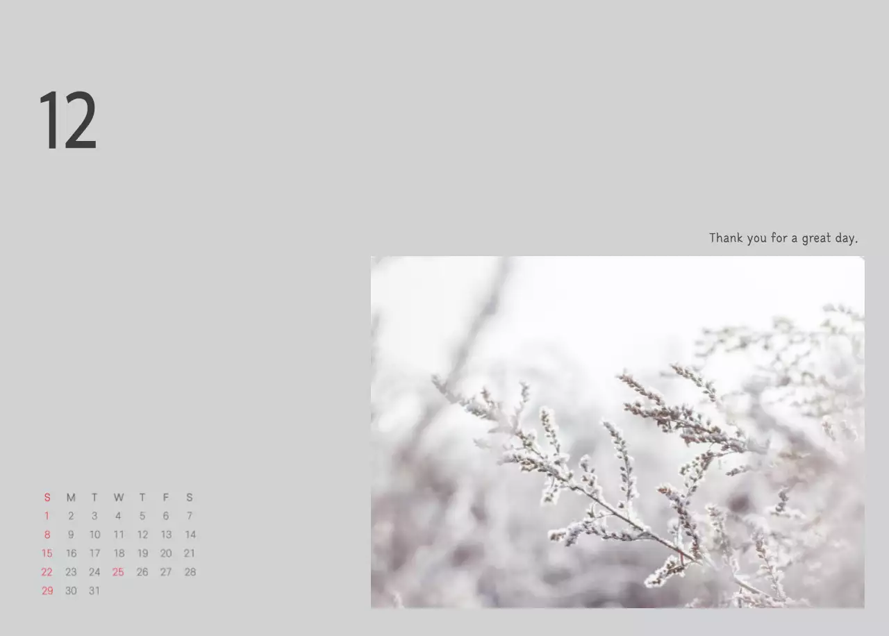 White Clean Botanical Nature