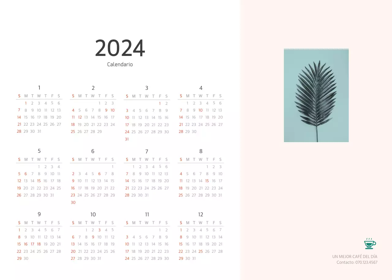 Blanco naturaleza botánica limpia