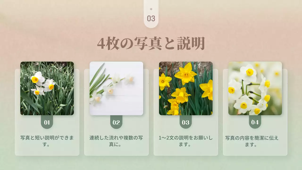 ピンク 上品 花 プレゼンテーション