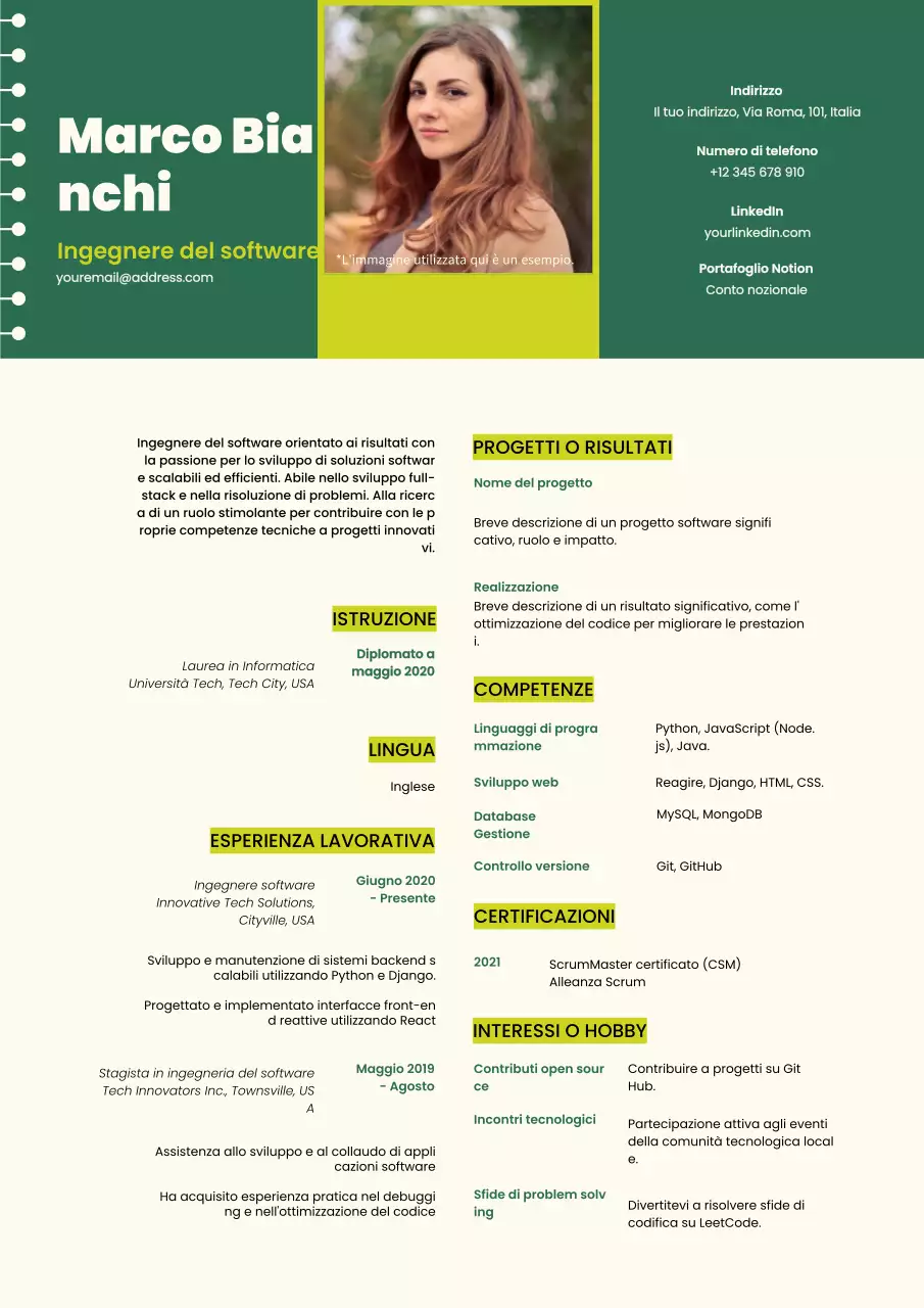 Verde e beige, curriculum di tendenza per ingegneri software