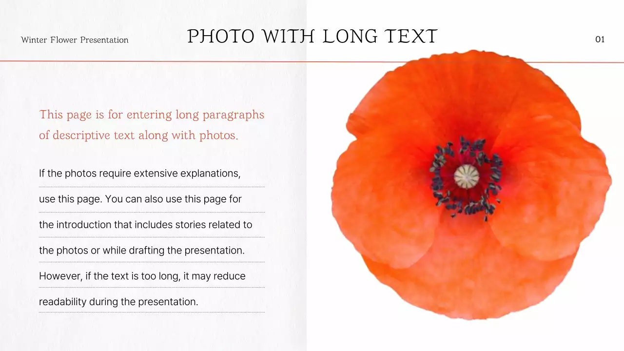 붉은 꽃 템플릿 프레젠테이션