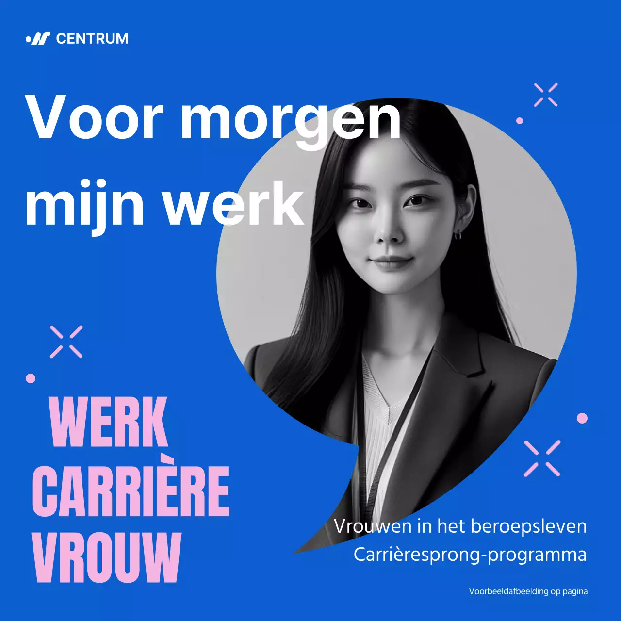 Het moderne blauw-roze programma Carrièresprong voor vrouwen promoten