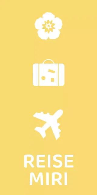 Reisebüroartikel mit Symbolen aus der Luftfahrt