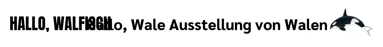 Eine einfache, moderne Ausstellung in Weiß und Schwarz