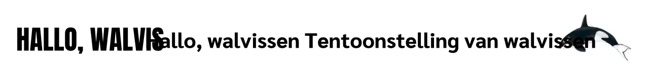 Een eenvoudige, moderne tentoonstelling in wit en zwart