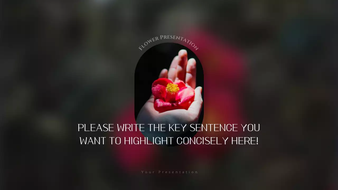 빨간색 우아한 꽃 프레젠테이션