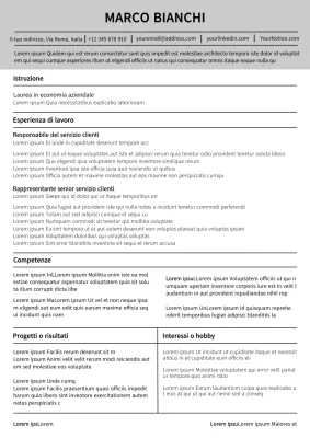 Curriculum del servizio clienti semplice bianco e grigio