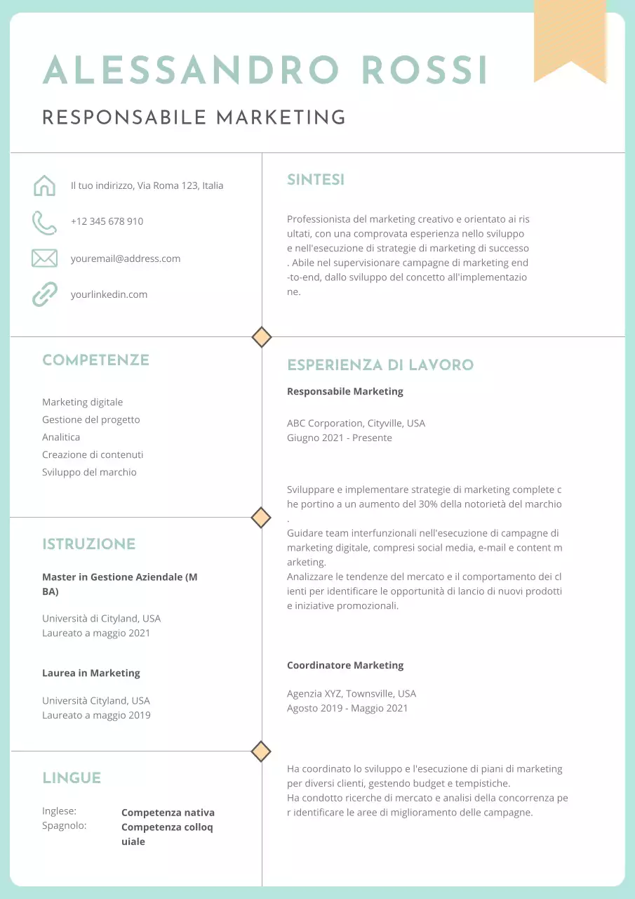 Menta e Beige Affascinante curriculum del direttore marketing