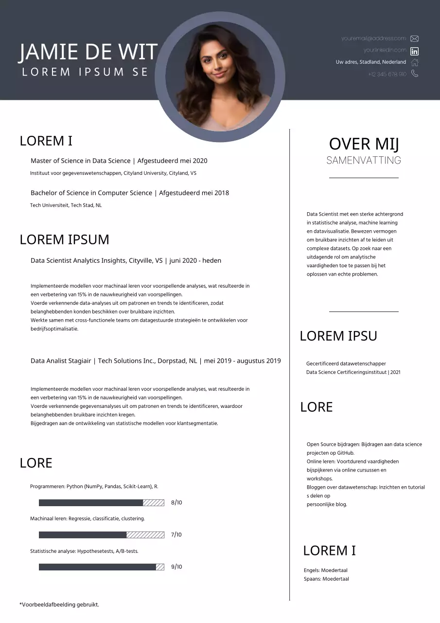 Grijs en Wit Modern Data Scientist CV