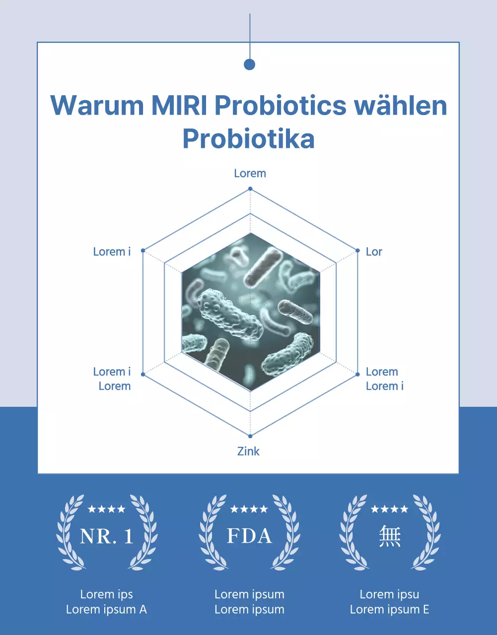 Einfacher Lactobacillus-Produktbrief in marineblau und hellblau