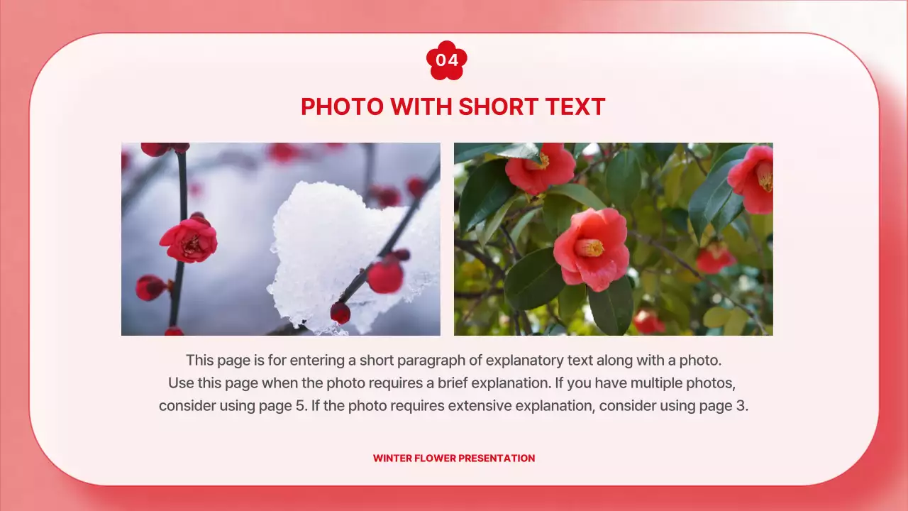 빨간색 우아한 꽃 프레젠테이션