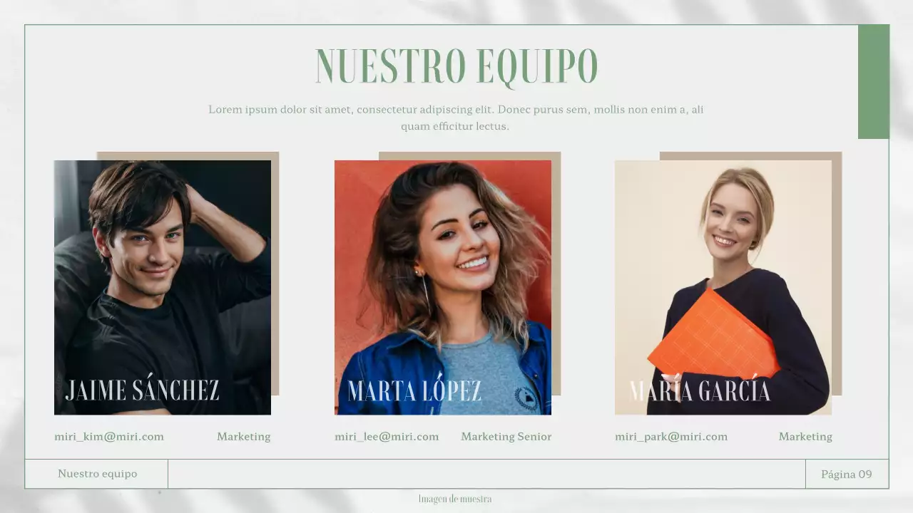 Materiales para informes empresariales en blanco y verde con temática de la naturaleza