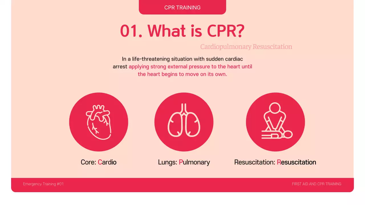 Red Professional CPR 가이드 프레젠테이션
