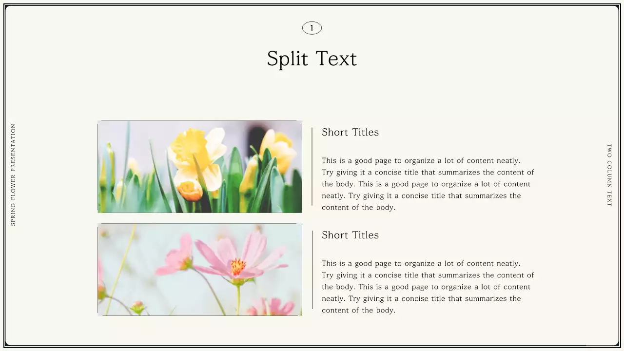 Beige Elegant Flower Presentation