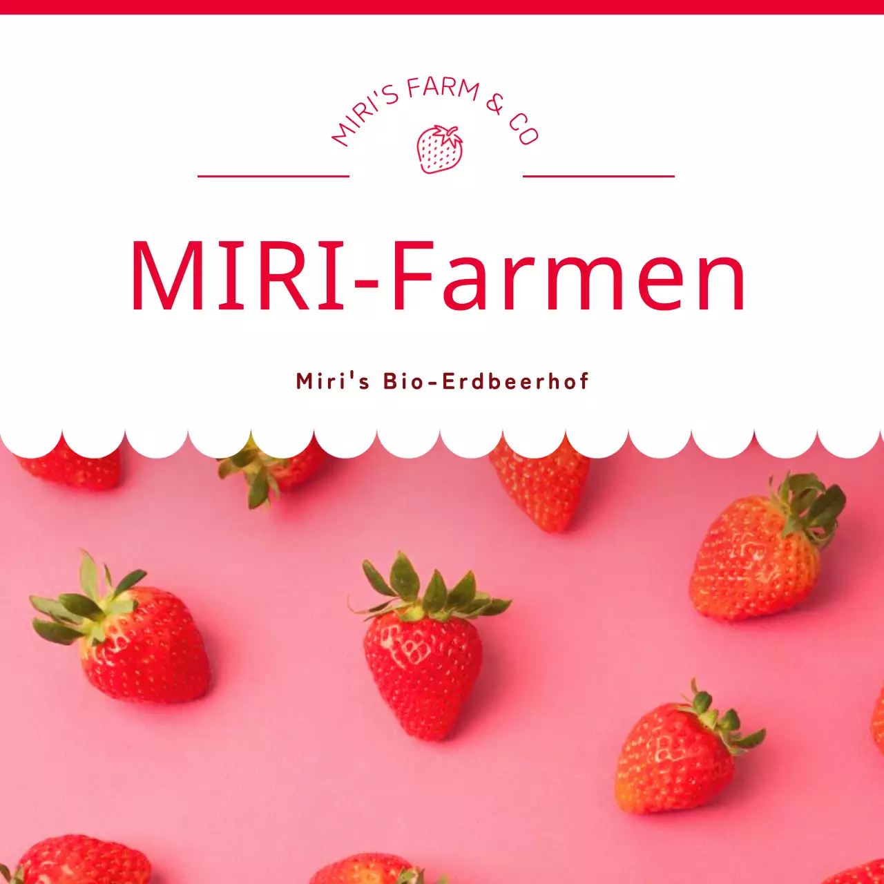 Förderung von roten und rosa Erdbeeren