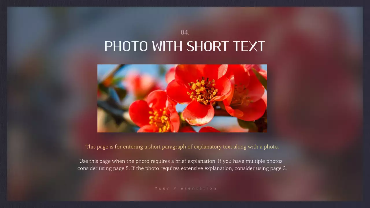 빨간색 우아한 꽃 프레젠테이션