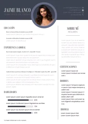 Currículum vitae de científico de datos moderno en gris y blanco