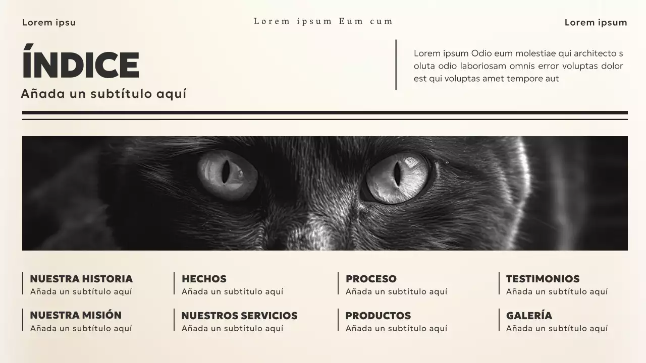 Black and Beige Vintage News Theme Business Material