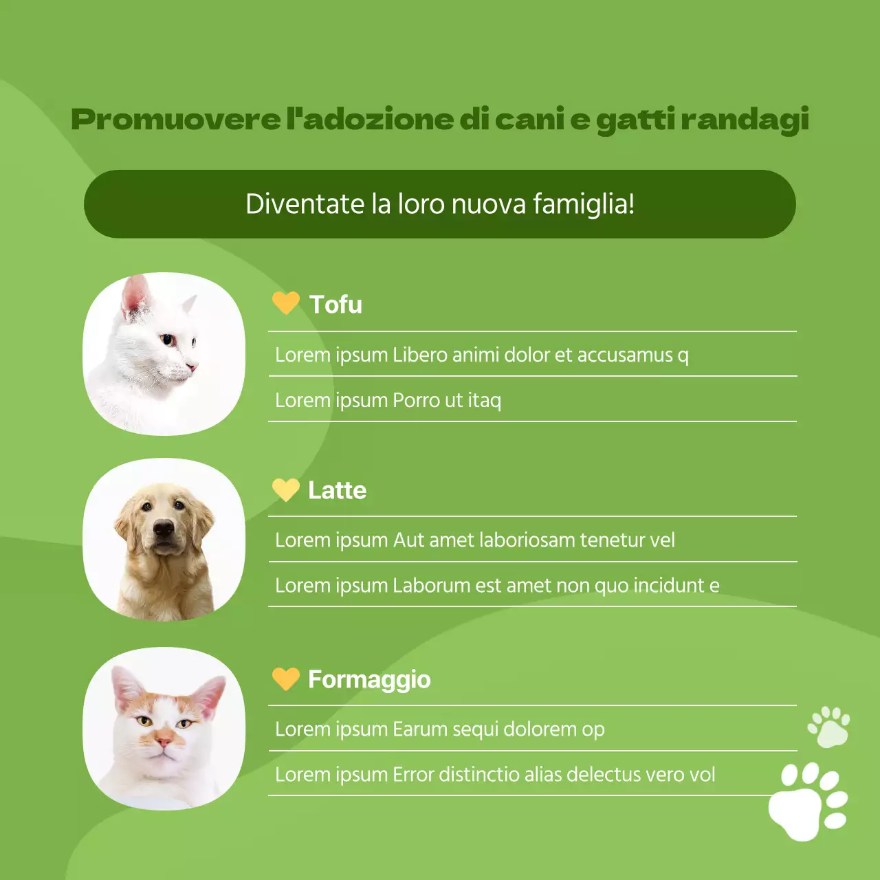 Promuovete il vostro centro di adozione di animali domestici con uno stile arancione e simpatico