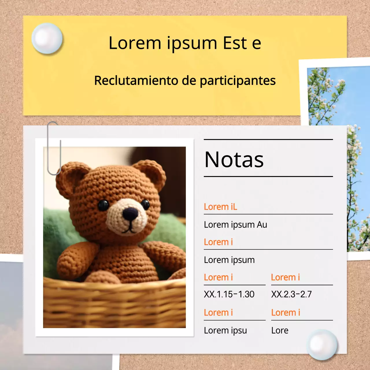 Promover un sencillo programa amarillo y marrón