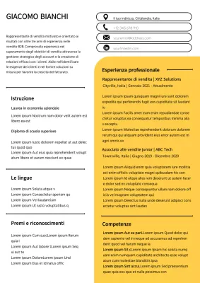 Curriculum del rappresentante di vendita semplice bianco e giallo