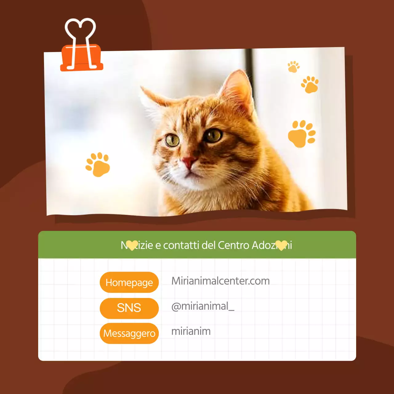 Promuovete il vostro centro di adozione di animali domestici con uno stile arancione e simpatico