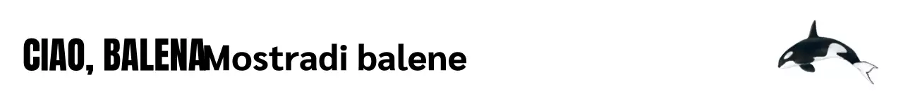 Una mostra semplice e moderna in bianco e nero