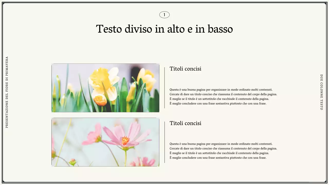 Proposta di fiori primaverili vintage in design avorio