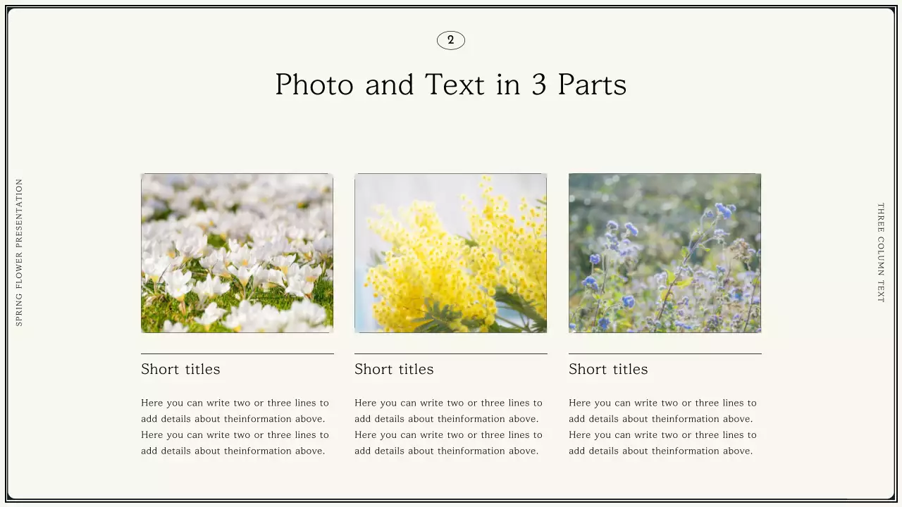 Beige Elegant Flower Presentation