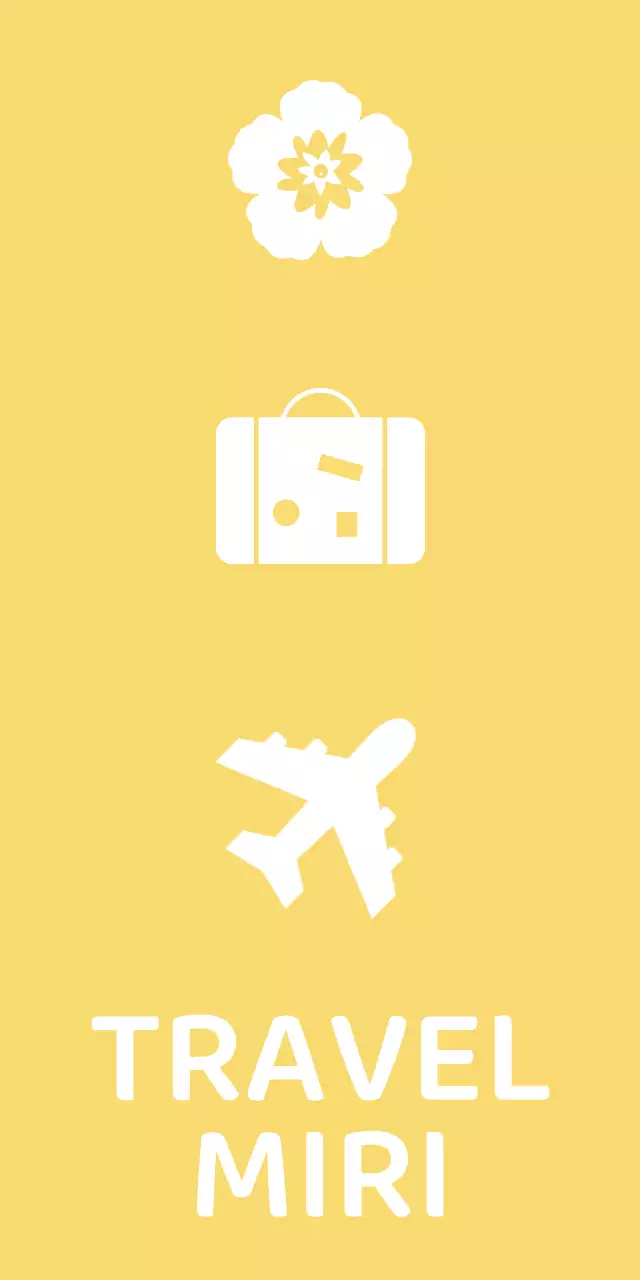 Travel agency merchandise with travel airline icons