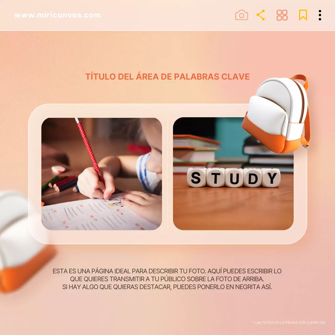 Un fondo de moda en menta y rosaAcerca de la plantilla