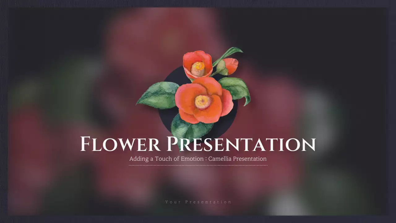 빨간색 우아한 꽃 프레젠테이션