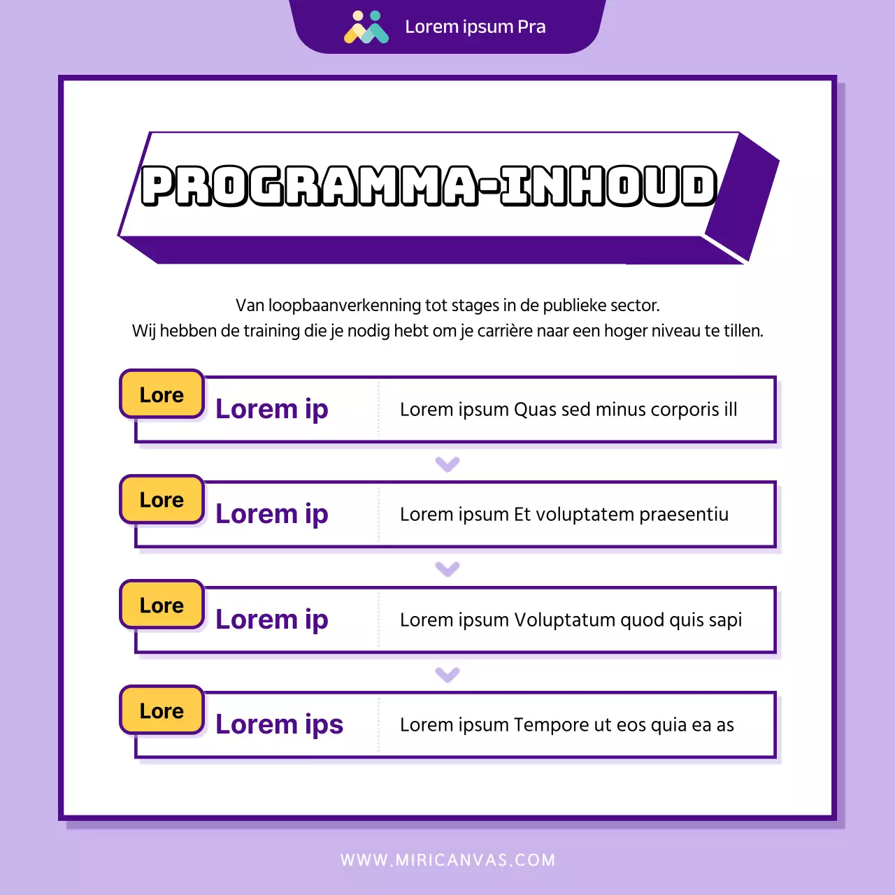 Modern paars en geel programma ter ondersteuning van de aanwerving van vrouwen in de publieke sector