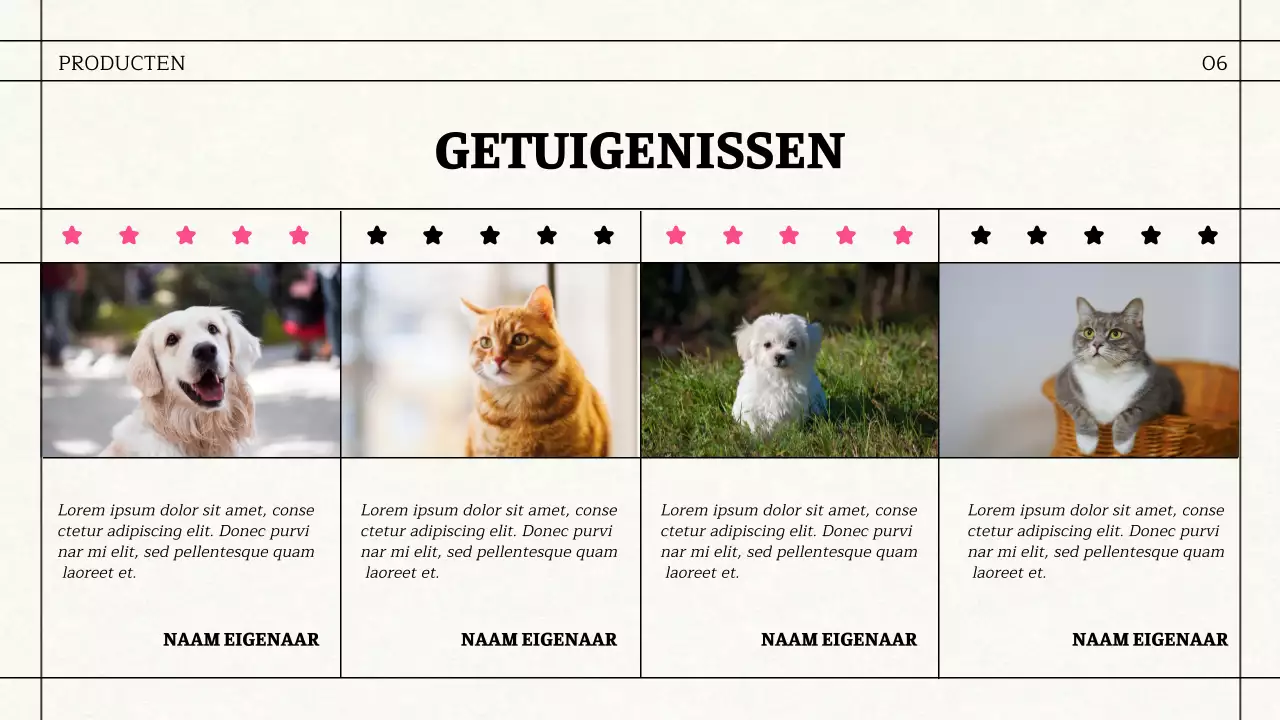 Eenvoudig zakelijk materiaal in krantenthema in zwart en roze