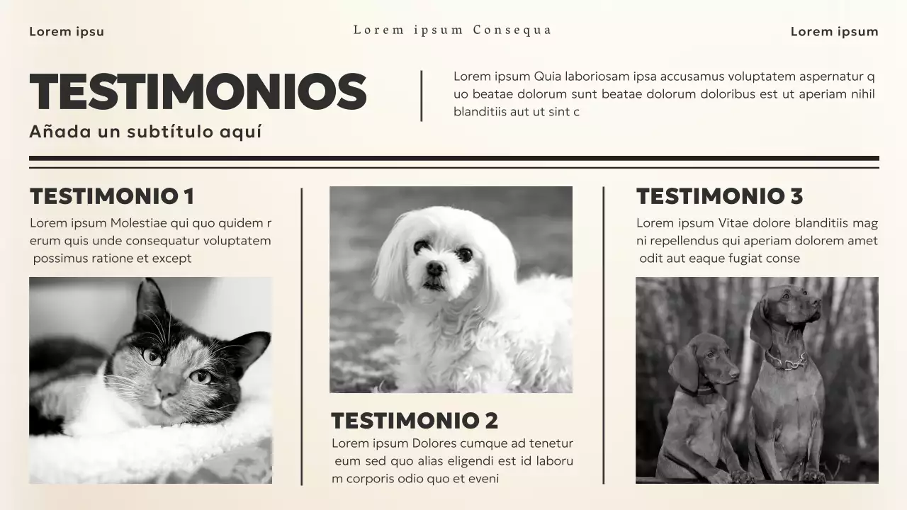 Black and Beige Vintage News Theme Business Material