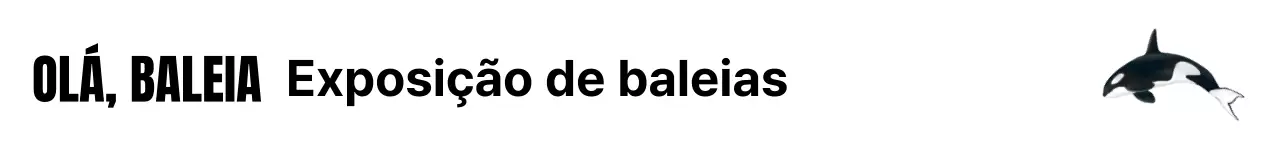 Uma exposição simples e moderna em branco e preto