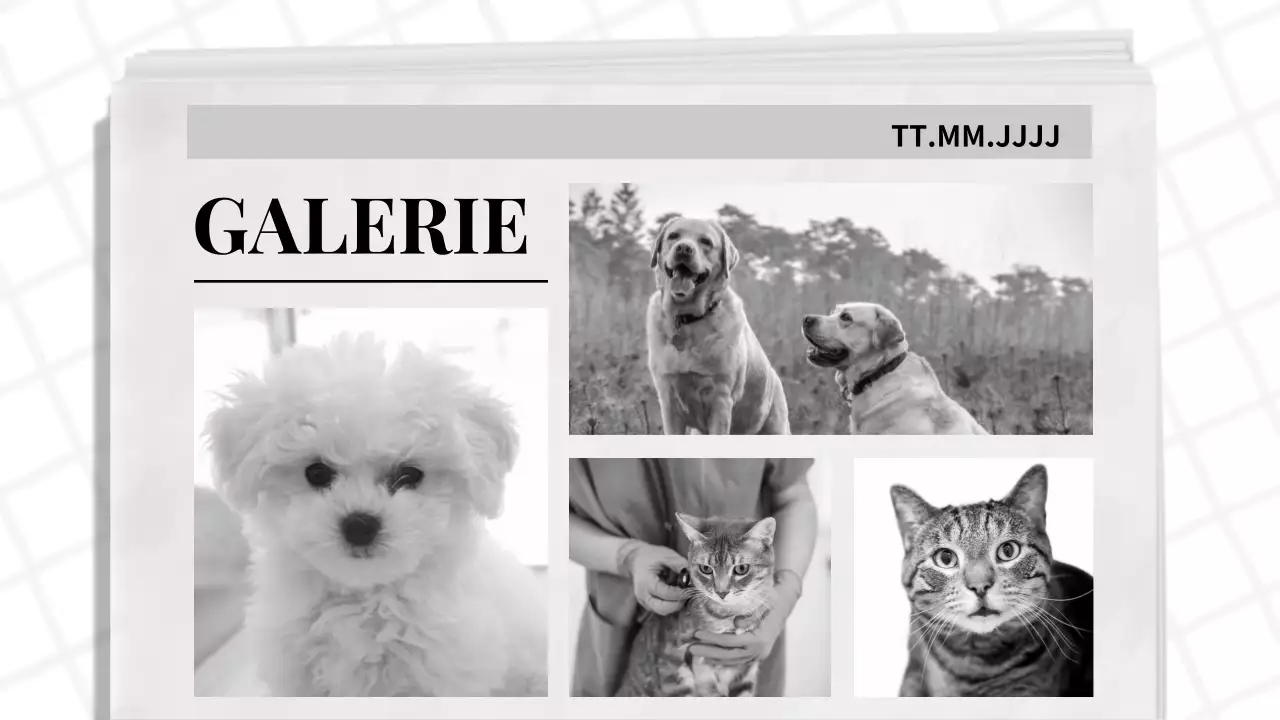 Blau und Schwarz Klassisches Zeitungsmotiv Geschäftsbericht