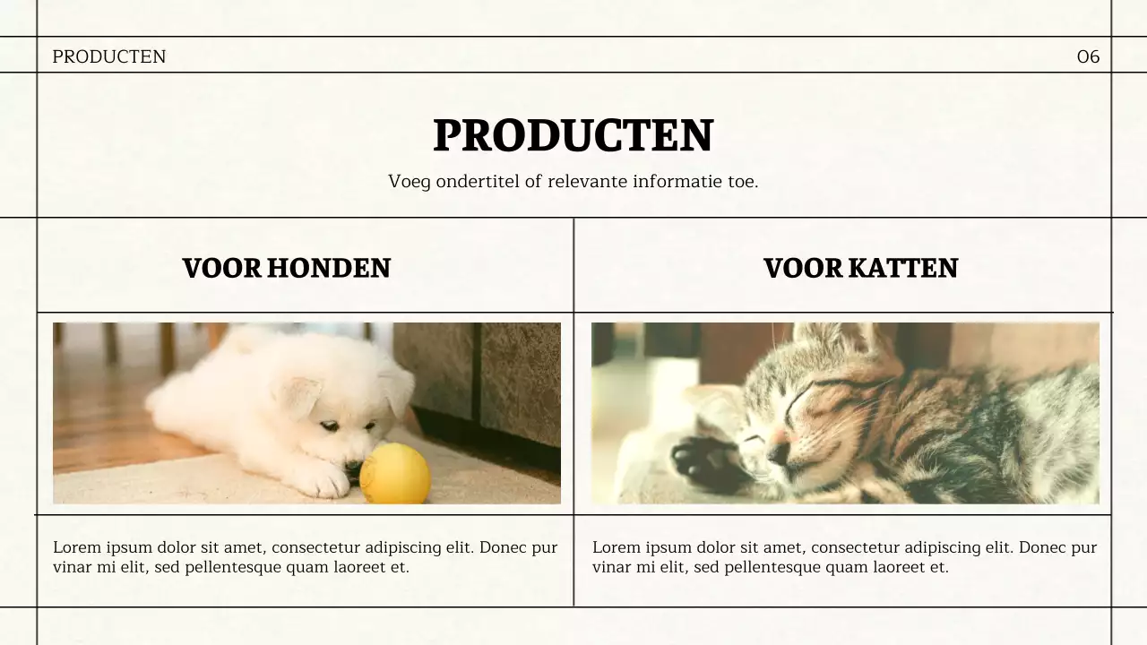 Eenvoudig zakelijk materiaal in krantenthema in zwart en roze